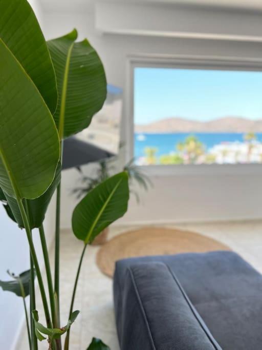 Apartment Port Elounda (Crete)